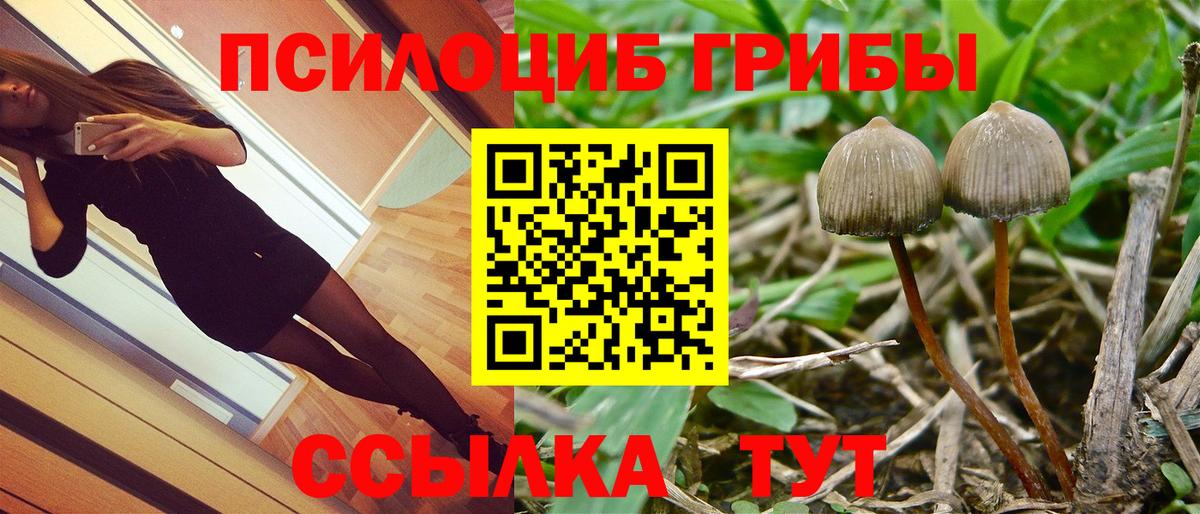 как найти   Вход с VPN  Челябинск  Галлюциногенные грибы Psilocybine cubensis 